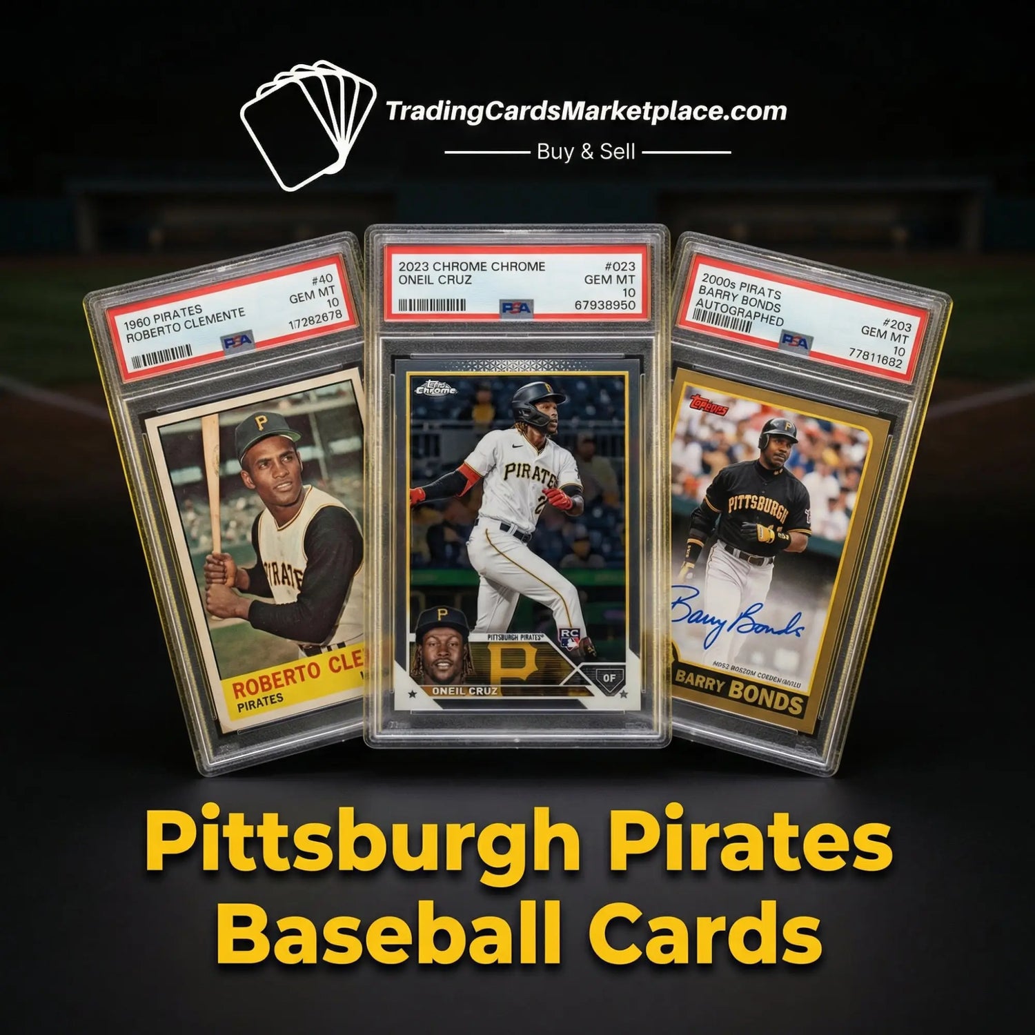 Three collectible pittsburgh pirates baseball cards in protective psa grading slabs, featuring roberto clemente, onel cruz, and barry bonds with gold-bordered designs.