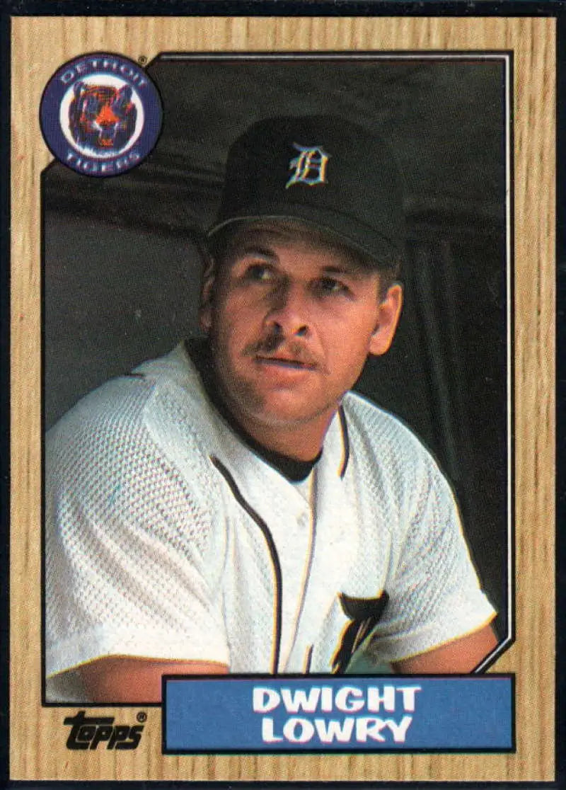 1987 Topps #483 Dwight Lowry EX Excellent RC Rookie Detroit Tigers Baseball Card - Baseball Card Single