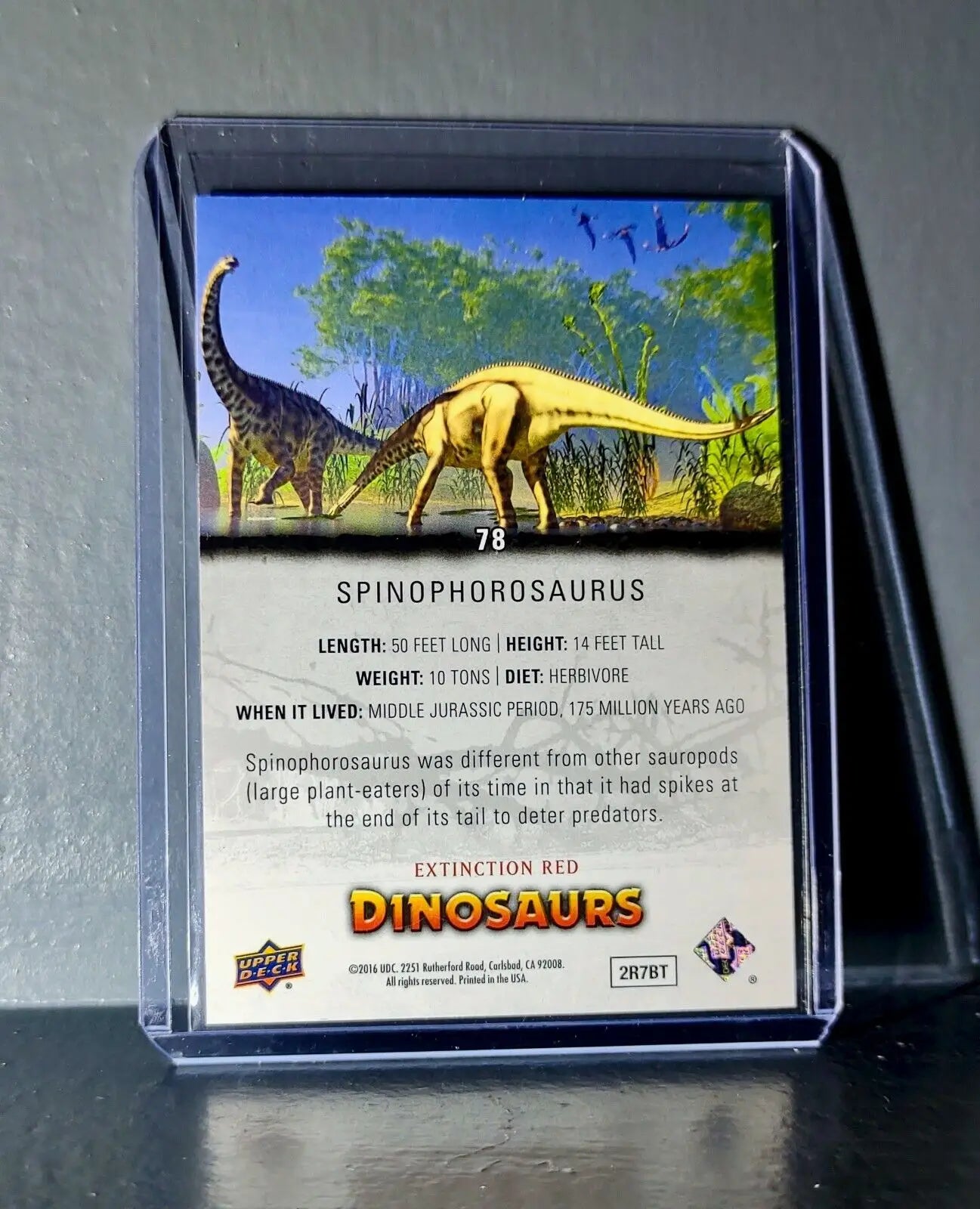 2015 Upper Deck Dinosaurs Spinophorosaurus Extinction Red Parallel #78 Card - Non-Sports Card Single