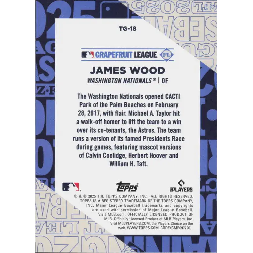 2025 Topps Training Grounds #TG-18 James Wood NM-MT Washington Nationals Baseball Card - Baseball Card Single
