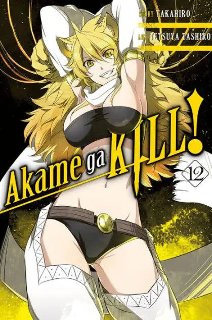 Akame Ga Kill Graphic Novel Volume 12 - Comic Book