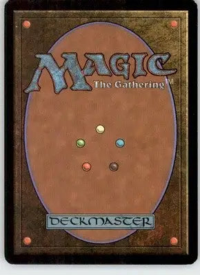 Forest (303) - Ravnica: City of Guilds - 303 - Foil HP Magic: The Gathering - Magic Card Single
