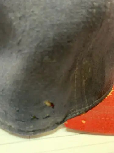 Blue denim hat from Freddie Patek’s California Angels signed cap for baseball cards collectors