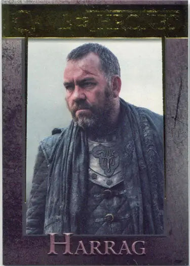 Portrait of a stern bearded man in gray cloak on Game of Thrones chase card