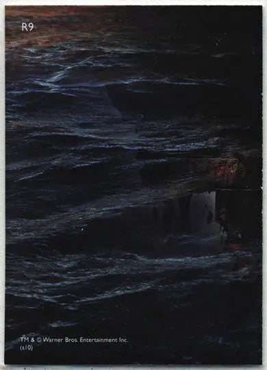 Harry Potter And The Deathly Hallows Part 1 Foil Puzzle Chase Card R9 - Entertainment Card Single