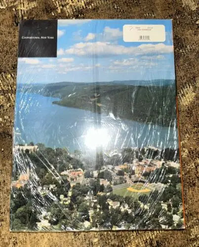 Aerial view poster of Georgetown, New York for LOT 5 Baseball HOF 1999 Yearbook Magazine