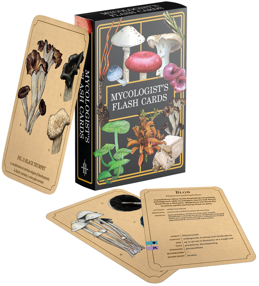 Mycologist's Primer: Flash Cards
