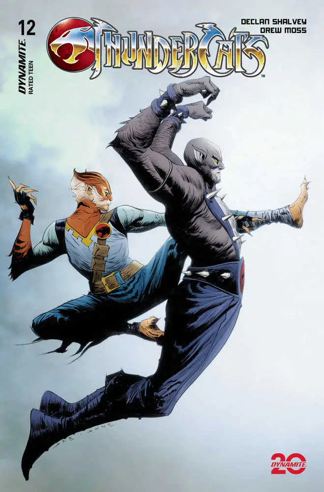 Thundercats #12 Cover C Lee & Chung - Comic Book