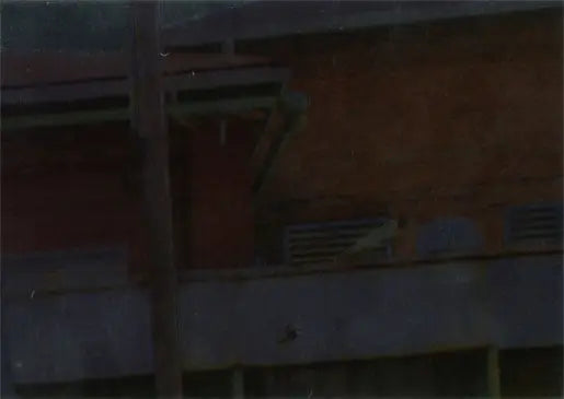 Blurry dark exterior of building from Walking Dead Season 4 Cryptomium Foil Parallel