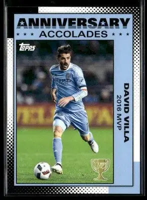 David Villa Soccer Cards