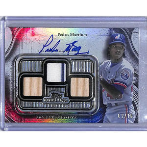 Pedro martinez signed baseball jersey swatch trading card with silver metallic frame and rainbow holographic border.