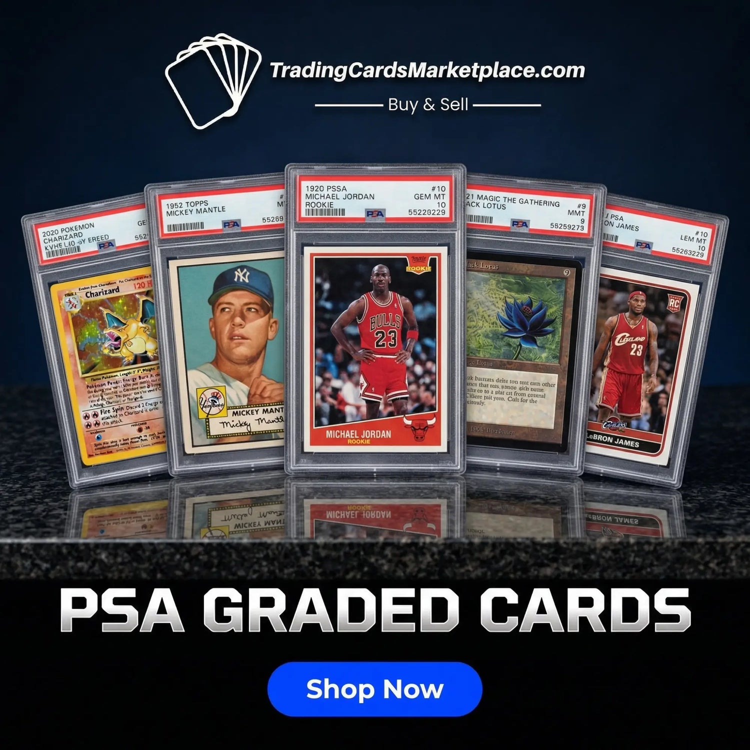 A collection of psa-graded trading cards in clear protective cases, featuring iconic sports and fantasy card designs with vibrant colors.