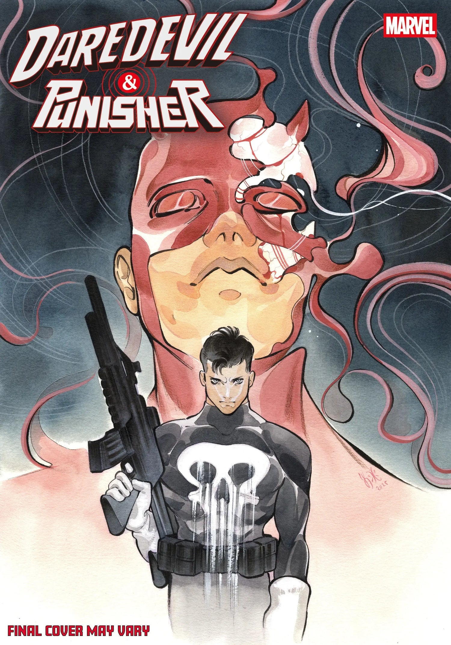 Punisher Comic Books