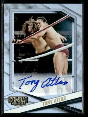 WWF Wrestling Cards