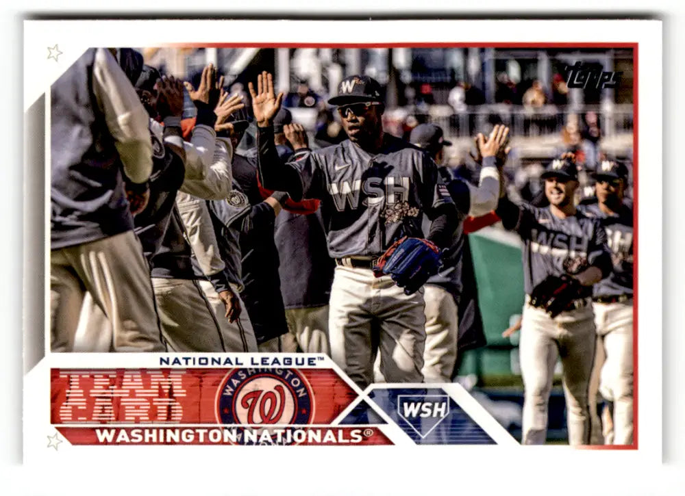 2023 Topps #316 Washington Nationals NM Near Mint ID:49555