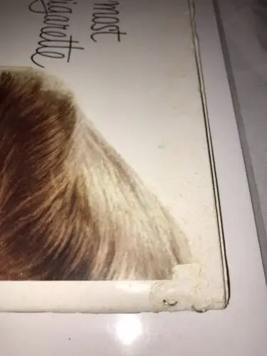 Damaged record album cover for 1951 Rice University Owls football cards program