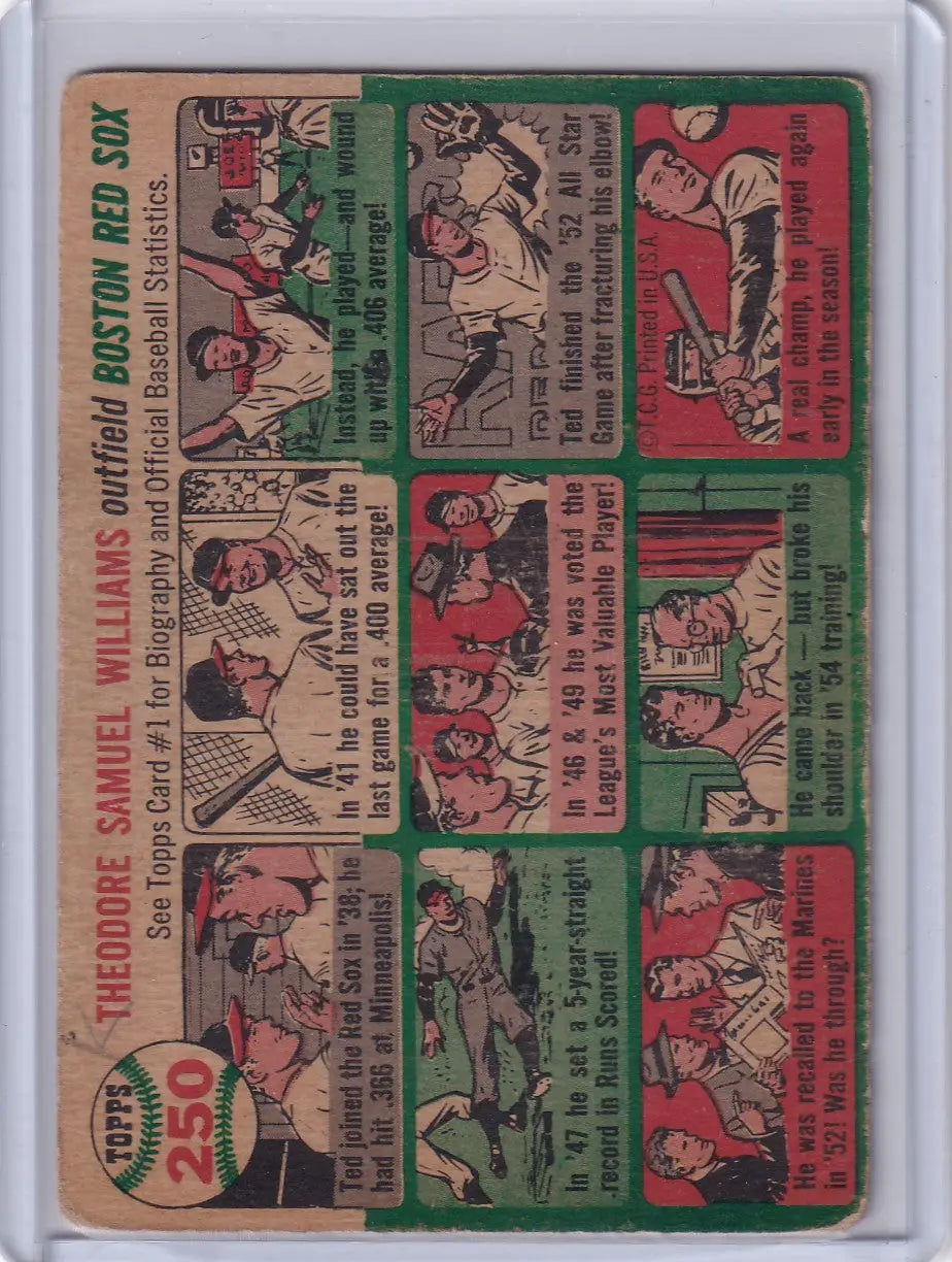 1954 Topps #250 Ted Williams - Boston Red Sox