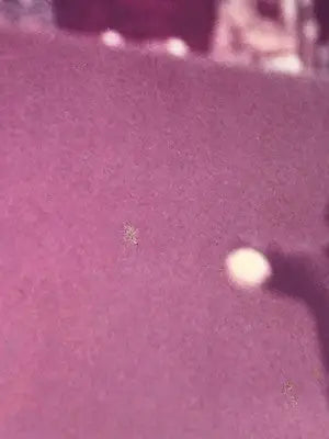 1973 Craig Morton Dave Campbell’s Magazine Dallas Cowboys 8x10 Proof Board Photo - Sports Memorabilia