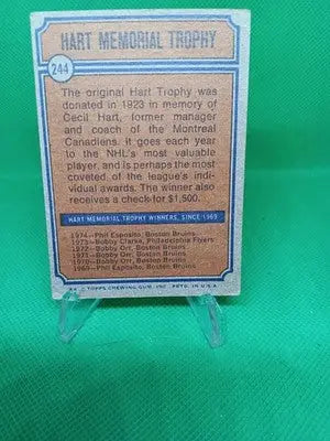 1974-75 Topps - Phil Esposito #244. Boston Bruins. Hart Trophy Winner. 🏆 EX - Hockey Card Single