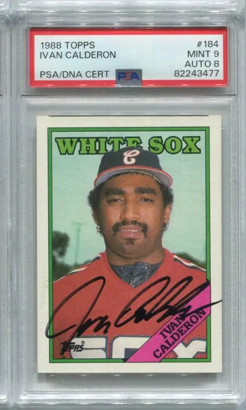 1988 Topps Ivan Calderon #184 Autograph Signed Card PSA 9 DNA 8 Auto White Sox - Baseball Card Single