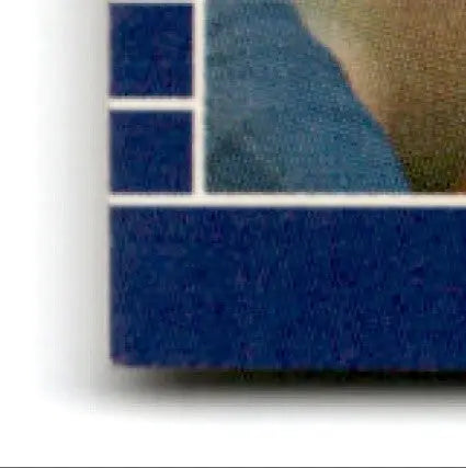 Bottom left corner of a blue textured football Jerry Rice book cover with white borders