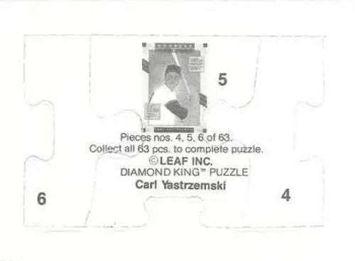 Yastrzemski puzzle featuring original gloss and Donruss Carl Yastrzemski collectible