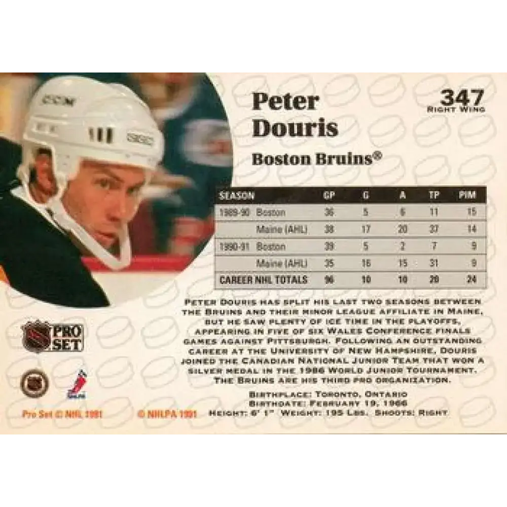1991-92 Pro Set #347 Peter Douris NM-MT Boston Bruins Hockey Card - Hockey Card Single