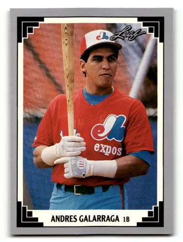 1991 Leaf #110 Andres Galarraga NM Near Mint Expos ID:55923 - Baseball Card Single