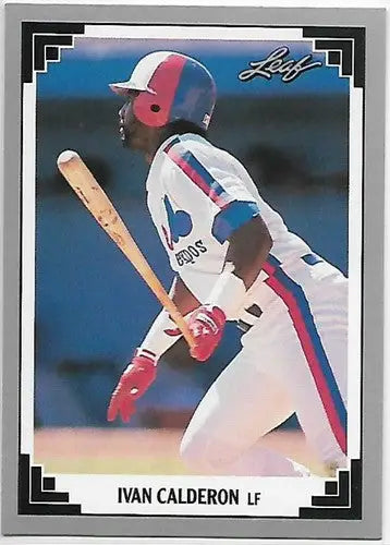 1991 Leaf #338 Ivan Calderon NM-MT Expos - Baseball Card Single