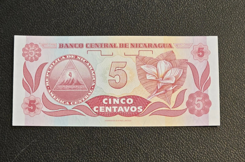 1991 Nicaragua 5 Centavos de Cordoba Banknote - UNC - Pick 168a - Hernandez - Coins & Currency