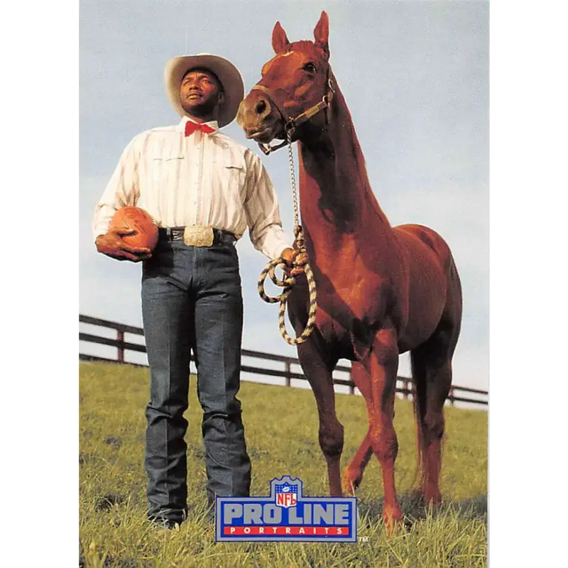 1991 Pro Line Portraits #204 Mel Blount EX-NM Pittsburgh Steelers Football Card - Football Card Single