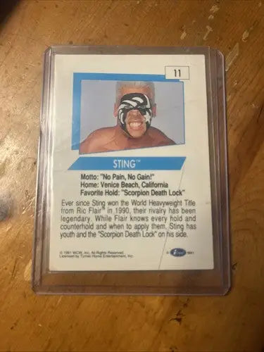 Wcw wrestling Sting wrestling card featuring Sting from 1991 WCW Wrestling Sting #11