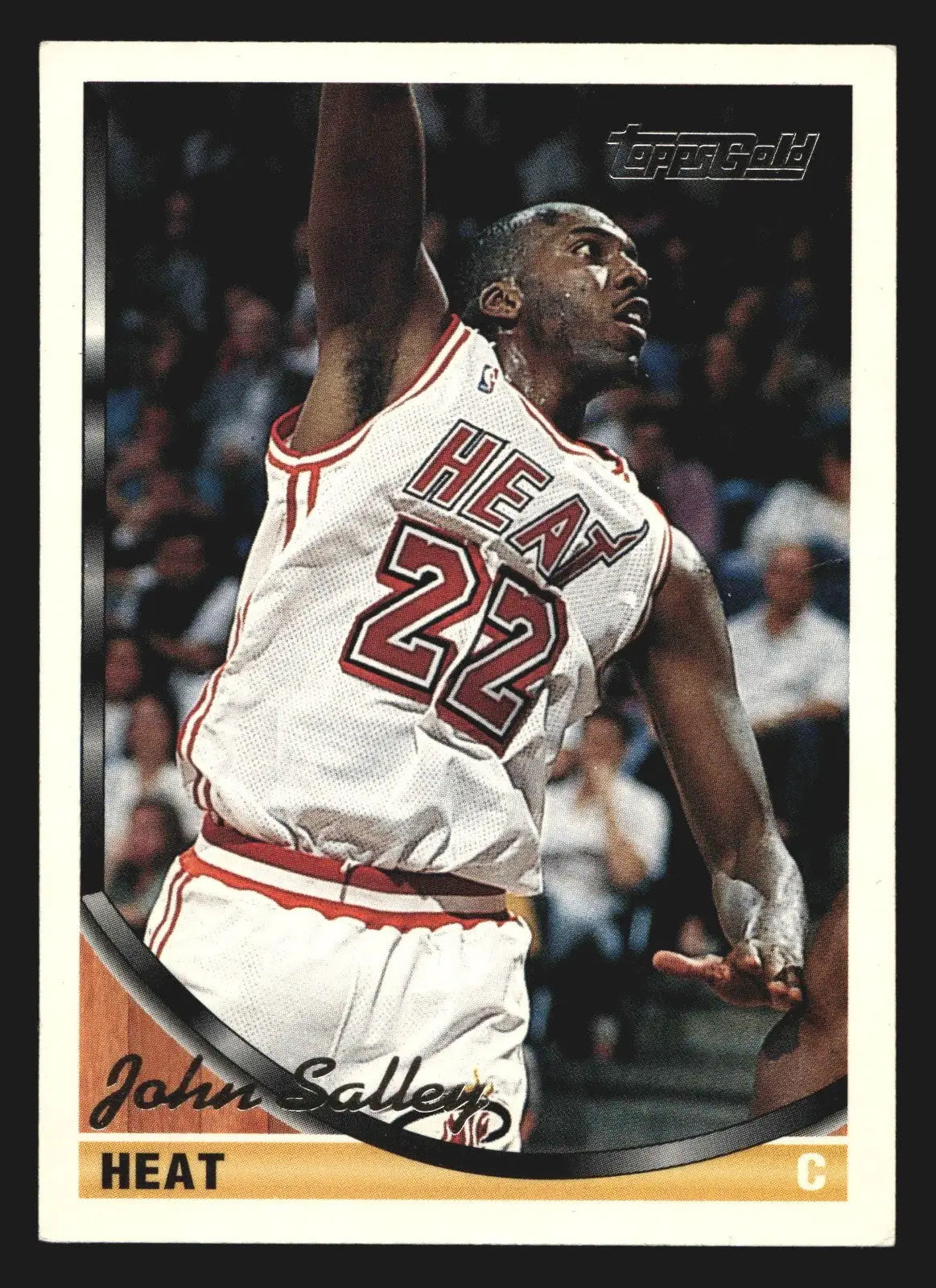 1993-94 Topps Gold #161 John Salley Miami Heat