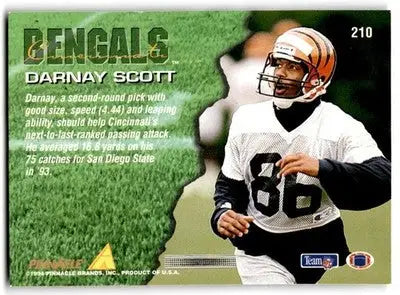 1994 Pinnacle Darnay Scott Rookie Cincinnati Bengals #210 - Football Card Single