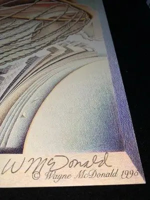 1995 Michael Jordan Signed By Wayne McDonald Die Cut Art Print Numbered #14/45 - Sports Memorabilia (Jerseys balls