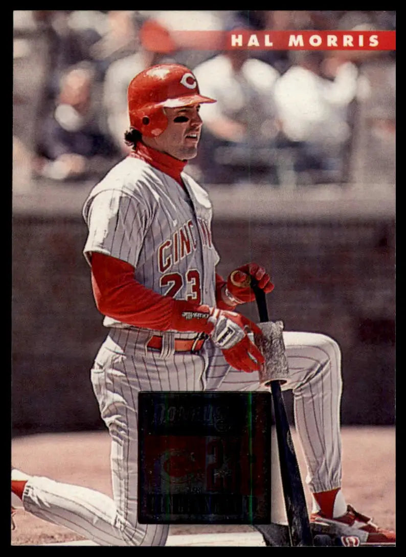 1996 Donruss Hal Morris 272 Cincinnati Reds NM - Baseball Card Single
