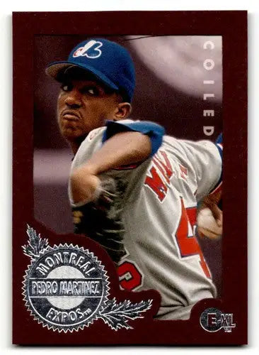 Original gloss Pedro Martinez Montreal baseball card from 1996 E-Motion XL series