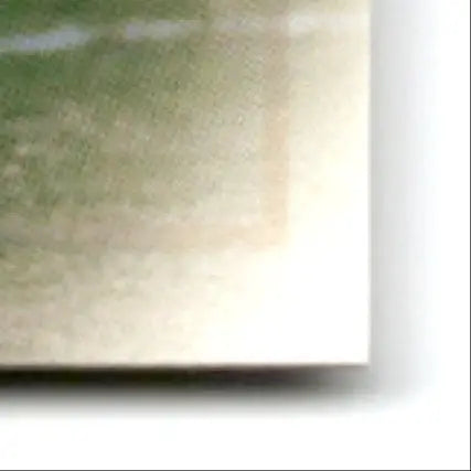 1997 Leaf Cris Carter #110 Vikings - Football Card Single