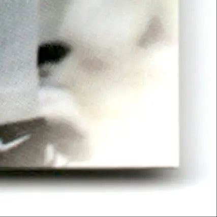 1997 Leaf Heath Shuler #192 New Orleans Saints - Football Card Single