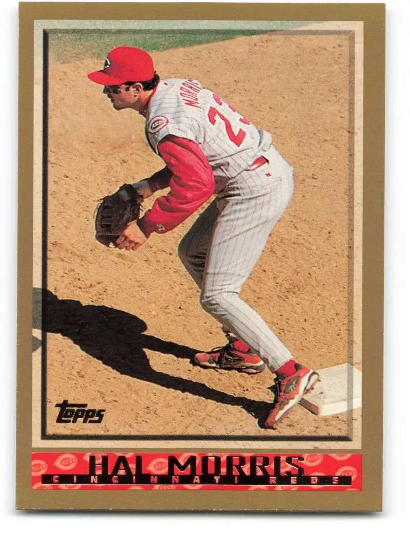 1998 Topps #177 Hal Morris NM-MT Cincinnati Reds Baseball Card - Baseball Card Single