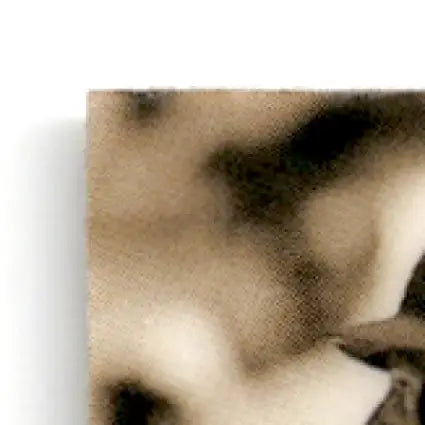 Sepia-toned abstract canvas print of Los Angeles Dodgers Bowman Baseball best Eric Karros