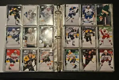 1in Binder Lot - 2020-21 Upper Deck NHL Hockey Cards - 120+ Base Cards 7 Pages - Hockey Card Single