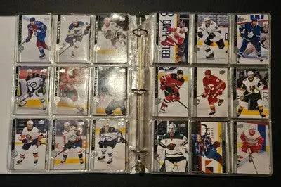 1in Binder Lot - 2020-21 Upper Deck NHL Hockey Cards - 120+ Base Cards 7 Pages - Hockey Card Single