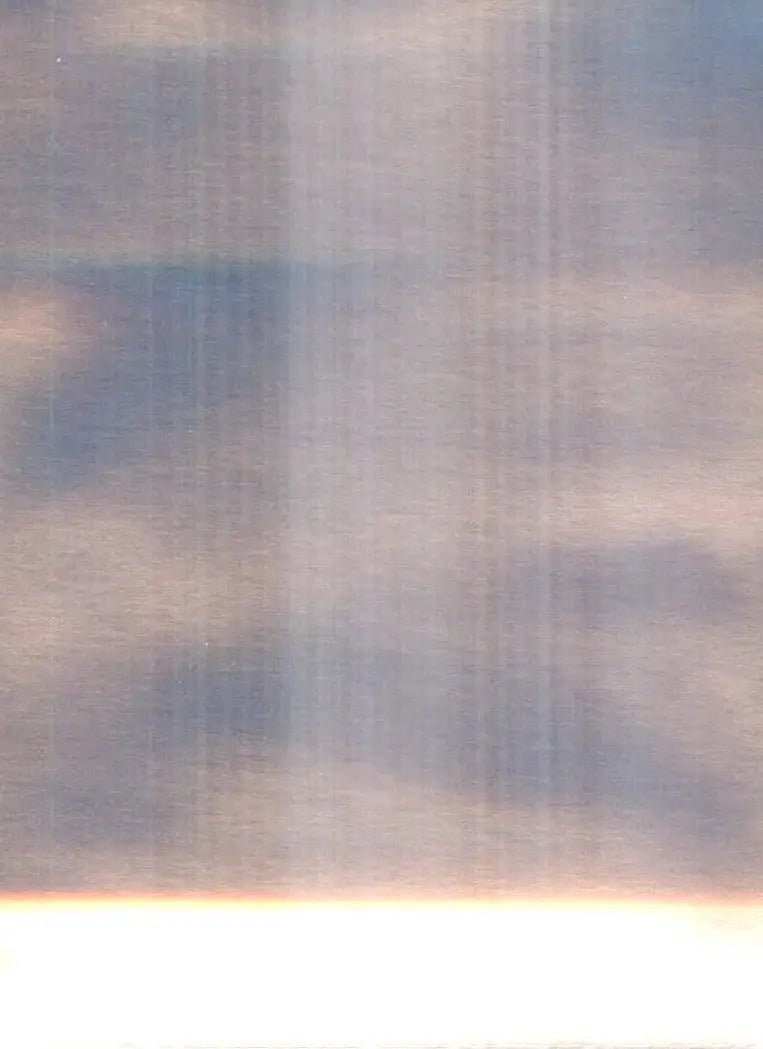 1X Single Official 2021 Evolving Skies ETB Eeveelutions Pokemon Card Sleeve