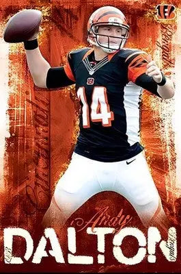 2013 ANDY DALTON Trends 9988 Cincinnati Bengals Football Poster 24x36 - Sports Memorabilia