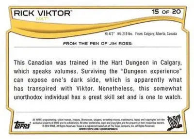 2014 Topps NXT Prospects #15 Rick Viktor NM-MT ID:6334 - Other