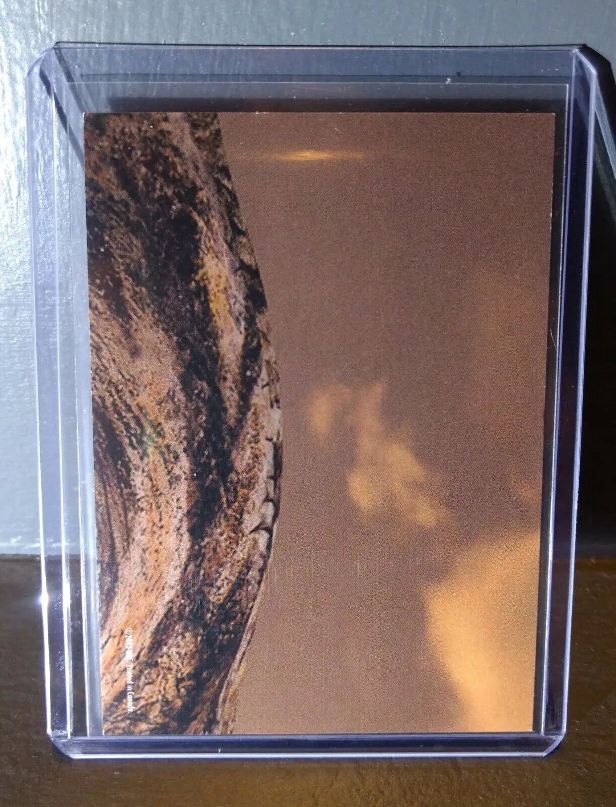 2015 Upper Deck Dinosaurs Allosaurus #S-3 Trading Sticker Card - Non-Sports Card Single