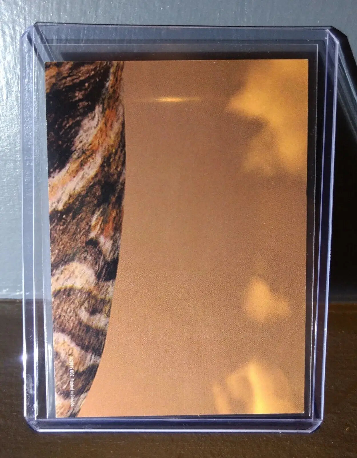 2015 Upper Deck Dinosaurs Apatosaurus #S-4 Trading Sticker Card - Non-Sports Card Single