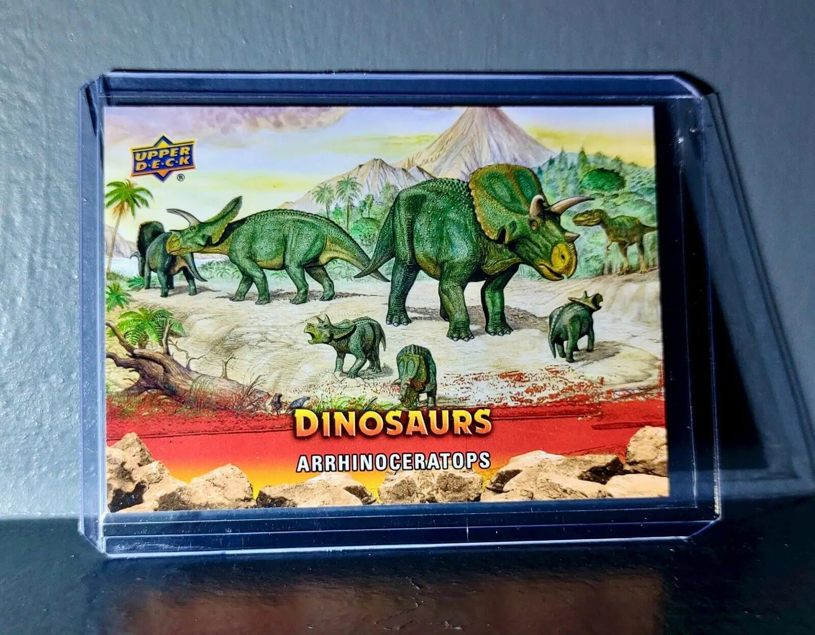 2015 Upper Deck Dinosaurs Arrhinoceratops Extinction Red Parallel #81 Card - Non-Sports Card Single