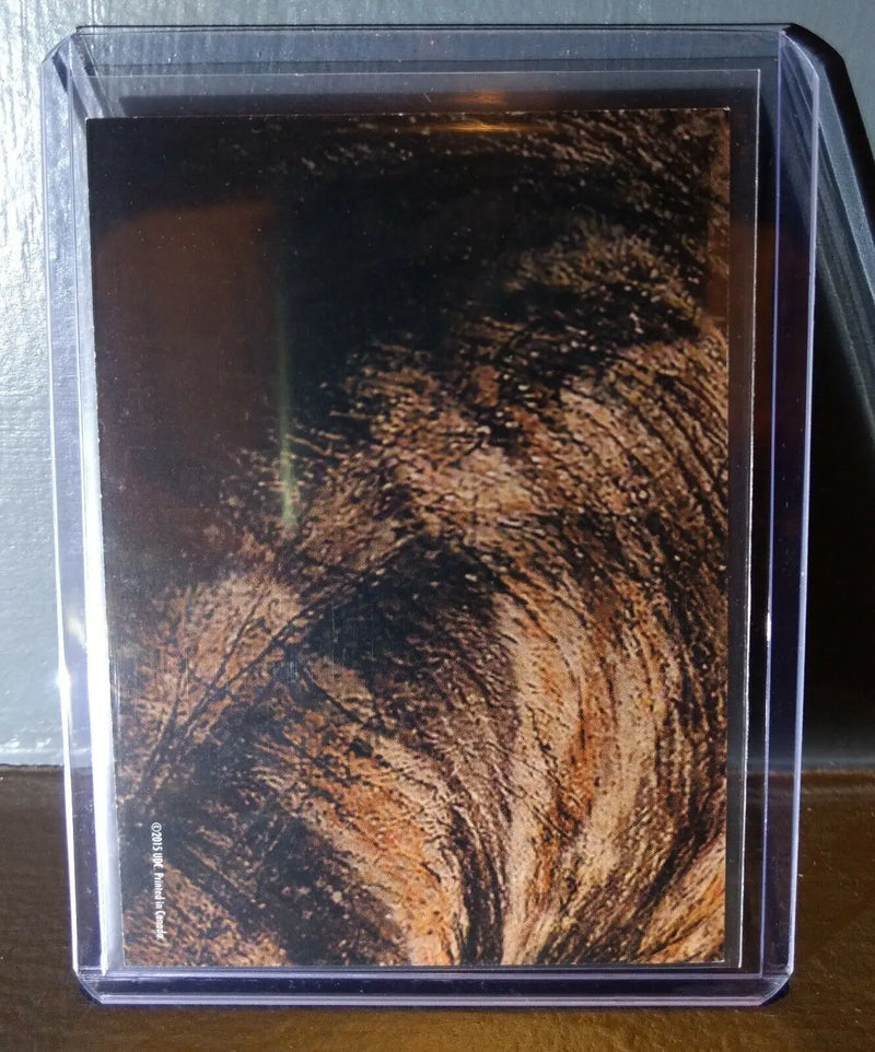 2015 Upper Deck Dinosaurs Brachiosaurus #S-9 Trading Sticker Card - Non-Sports Card Single